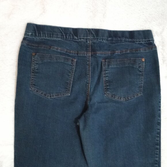 Faded Glory Women's 3 Pocket, Stretch Denim Jeans (Size 14) Color: Jrinse - Picture 7 of 8